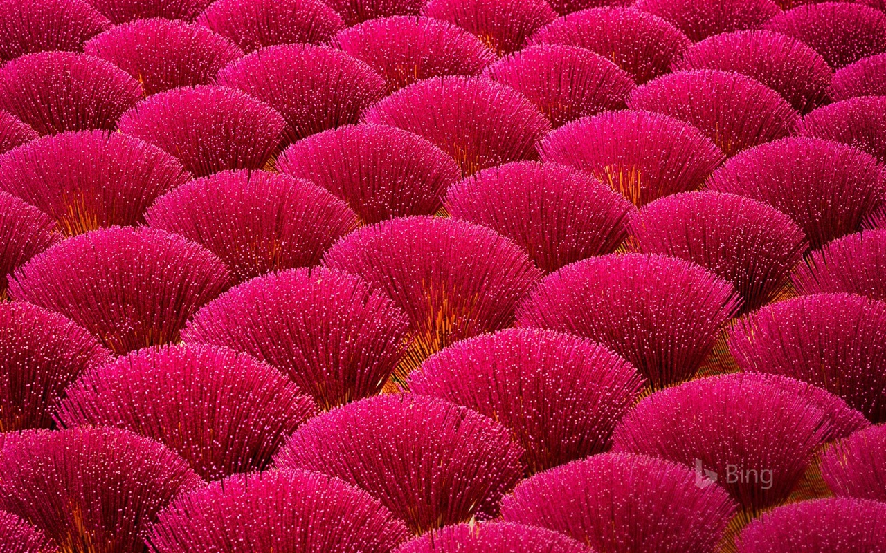 Mai 2017 Bing Thema der hochauflösenden Hintergrundbild #16 - 1280x800