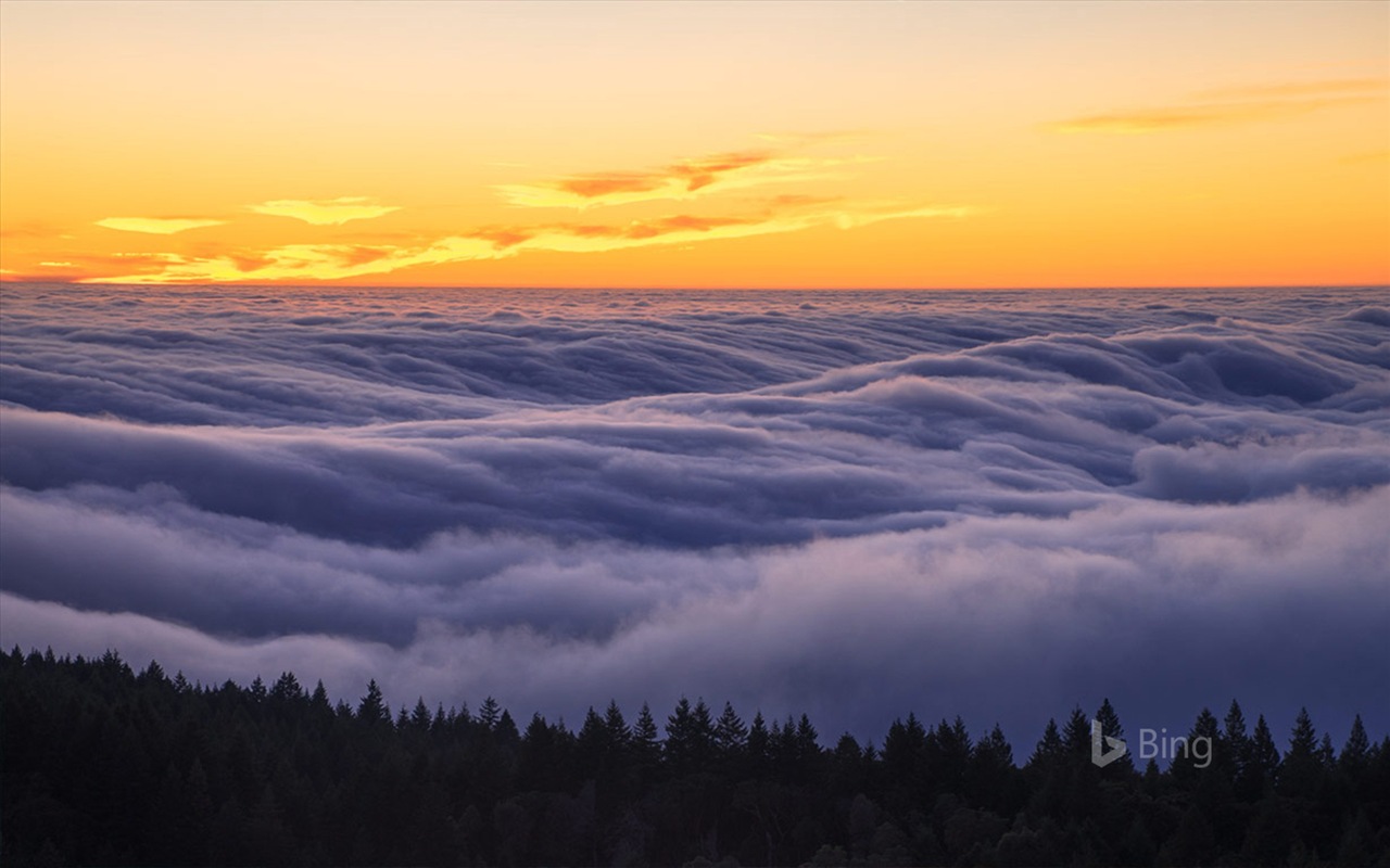 Mai 2017 Bing Thema der hochauflösenden Hintergrundbild #31 - 1280x800