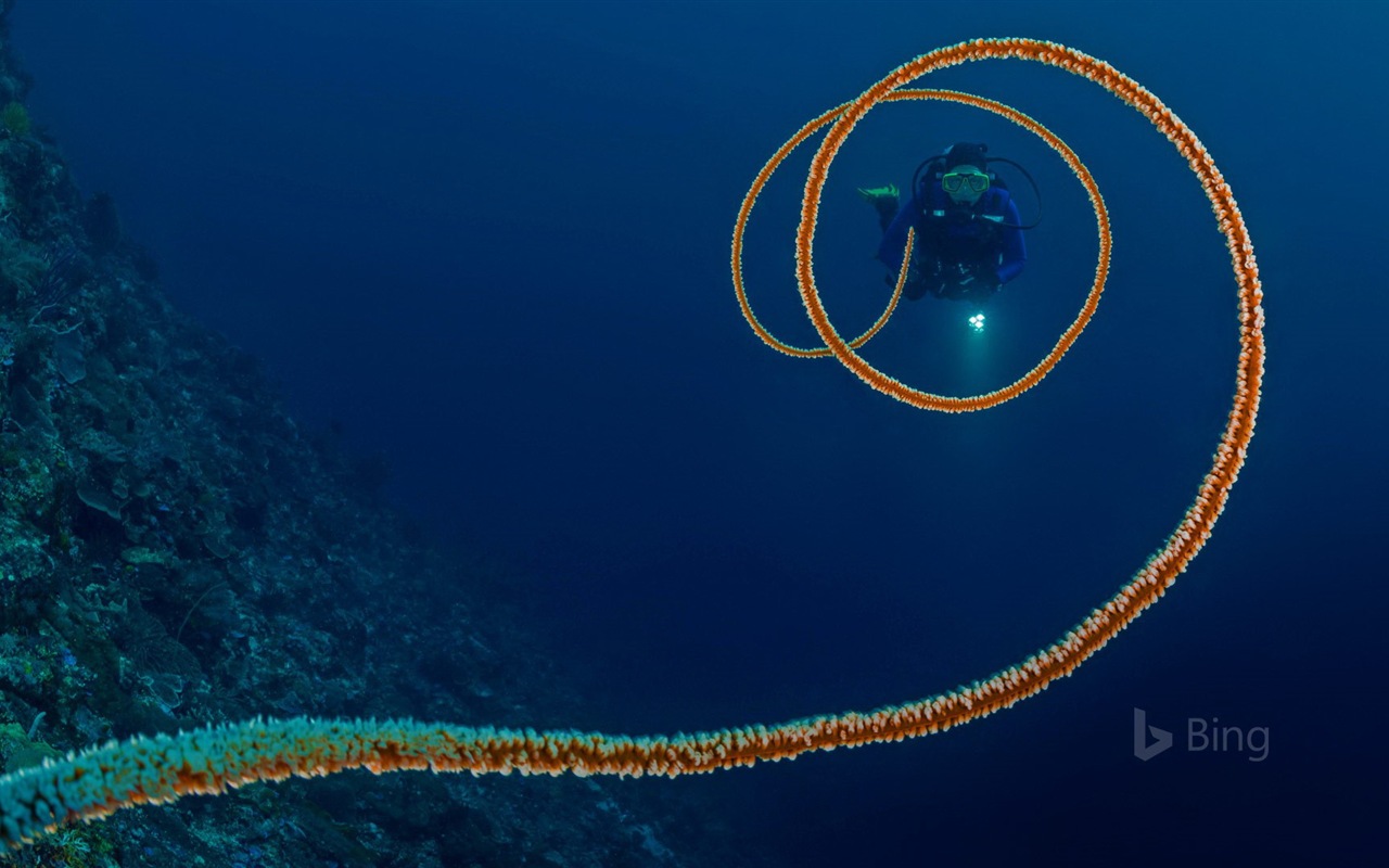 Août 2017 Bing thème Fond d'écran HD #3 - 1280x800