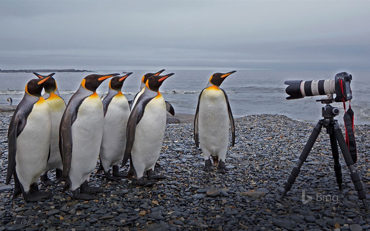 Août 2017 Bing thème Fond d'écran HD #18 - 1280x800