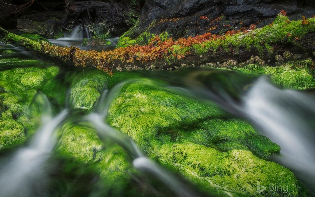 Septiembre de 2017 fondo de pantalla Bing theme HD #18 - 1280x800