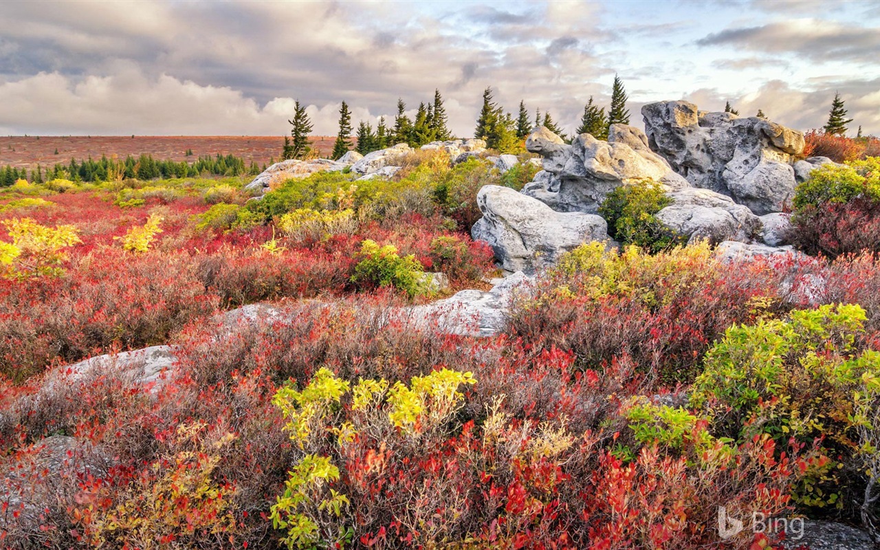 Septembre 2017 thème Bing fond d'écran HD #22 - 1280x800