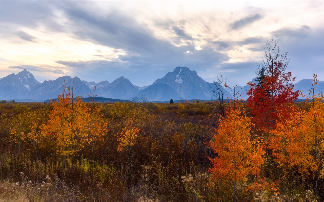 USA-großartige Teton Nationalparknatur-Landschaftstapeten HD #17 - 1280x800