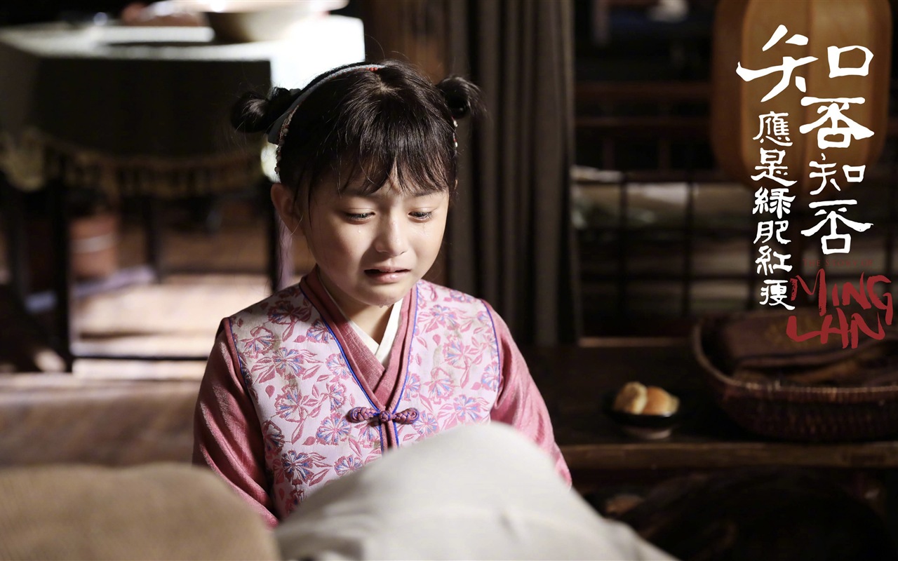 知否知否應是綠肥紅瘦 電視劇高清壁紙 #5 - 1280x800