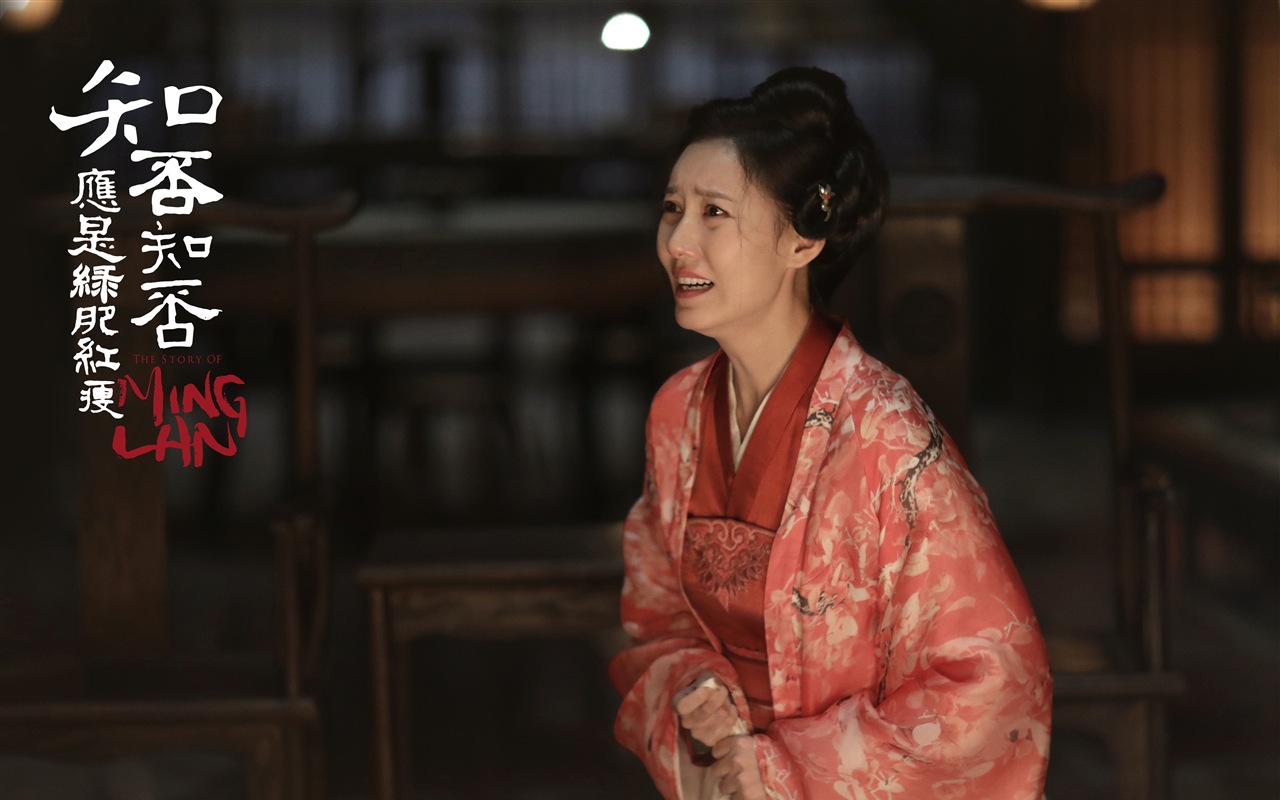 知否知否應是綠肥紅瘦 電視劇高清壁紙 #17 - 1280x800