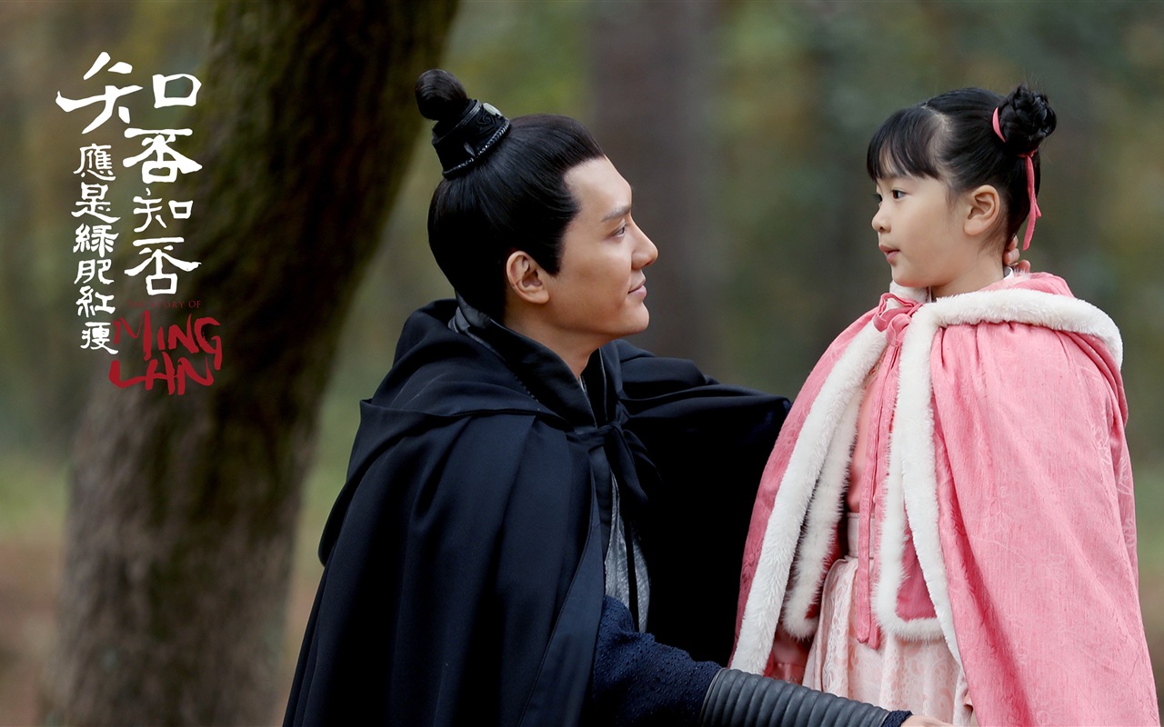 知否知否應是綠肥紅瘦 電視劇高清壁紙 #21 - 1280x800