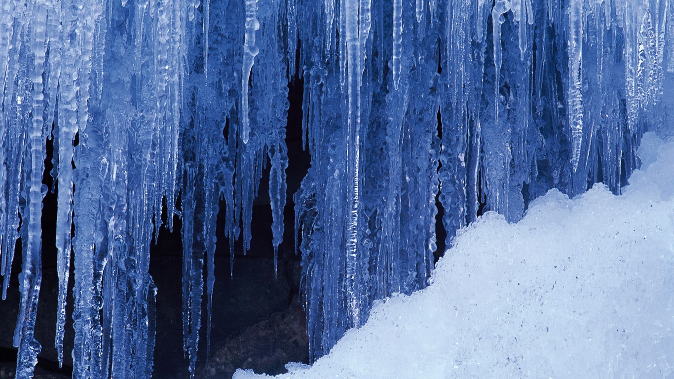 白雪森林(一)10 - 1366x768