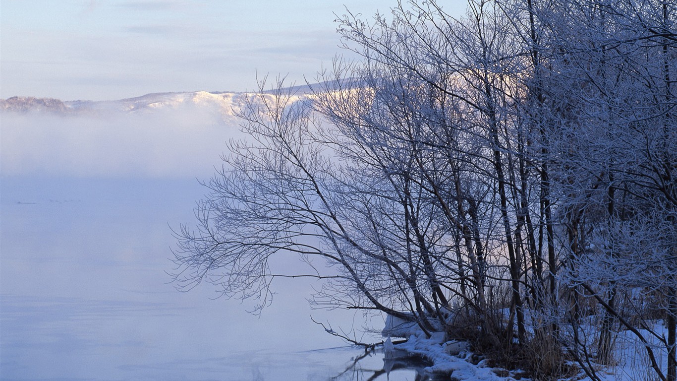 白雪森林(一)17 - 1366x768