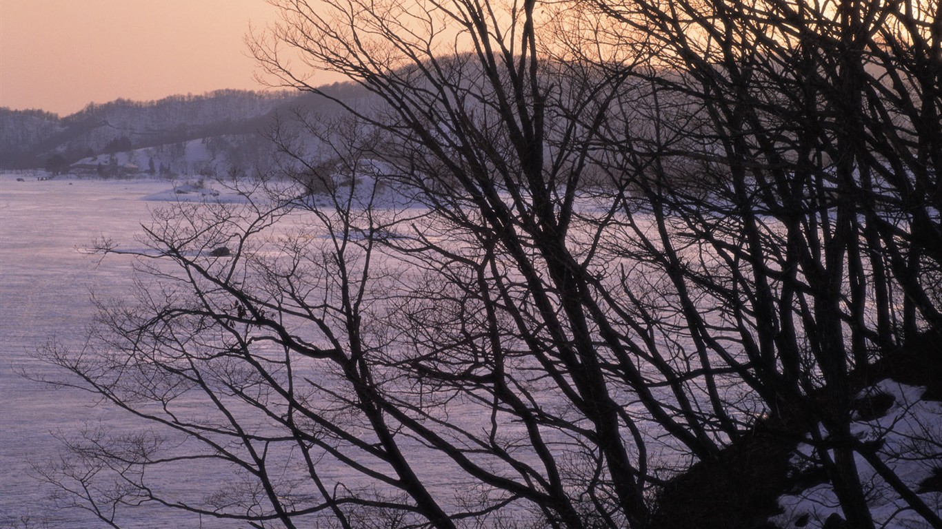 Nieve fondos de escritorio de los bosques (2) #8 - 1366x768