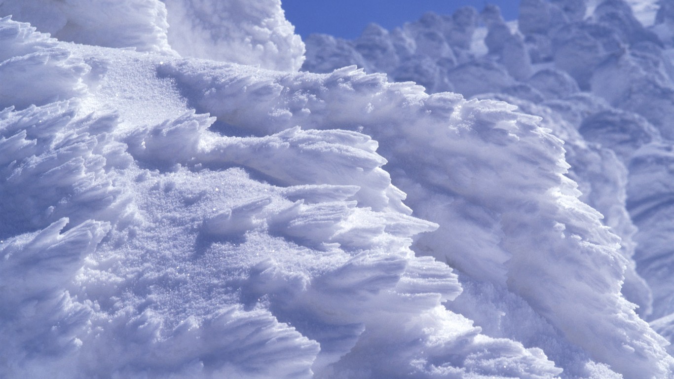 雪の林の壁紙(2) #13 - 1366x768