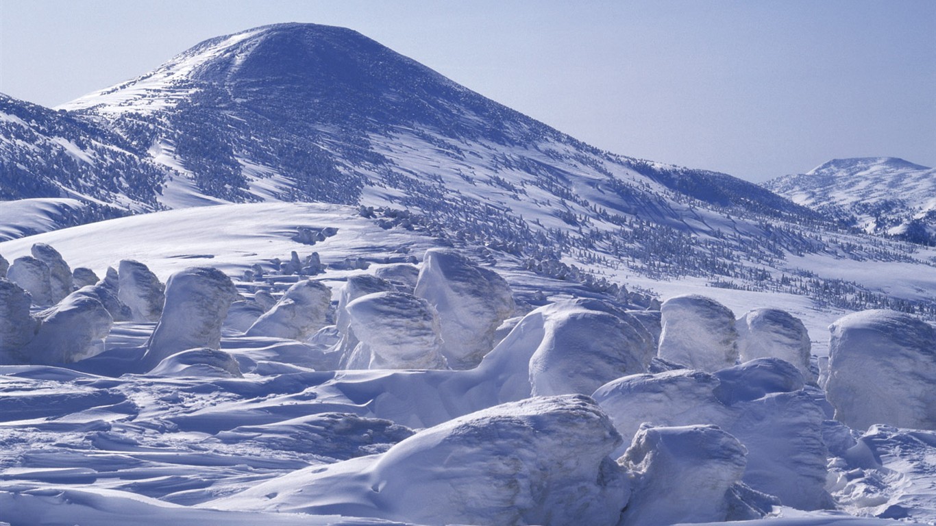 雪の林の壁紙(2) #15 - 1366x768