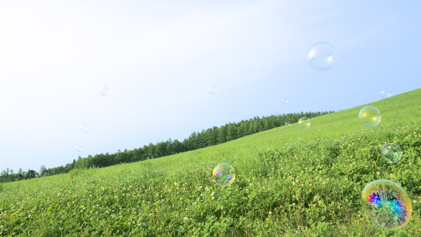 Green Grass wallpaper (1) #9 - 1366x768
