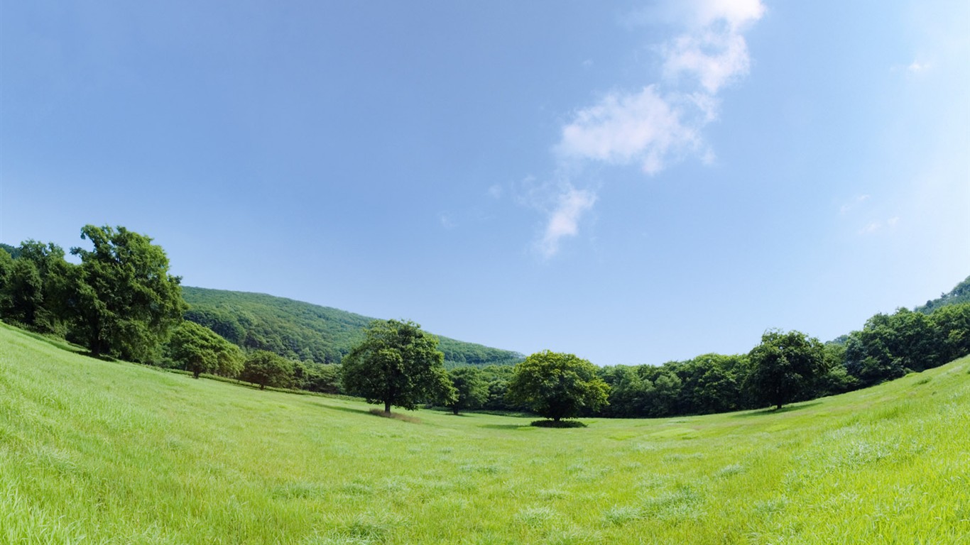 zelená tráva tapety (1) #15 - 1366x768