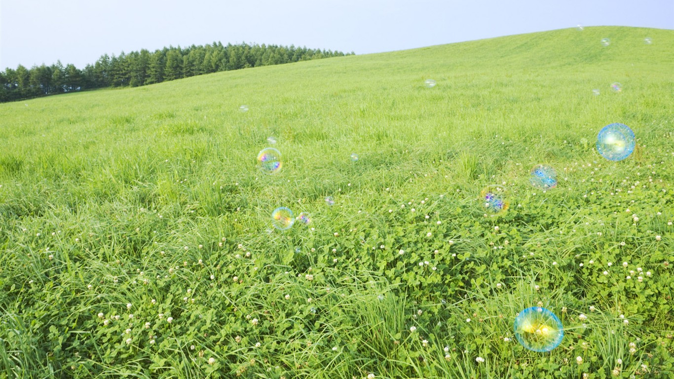 綠色草地(三) #14 - 1366x768