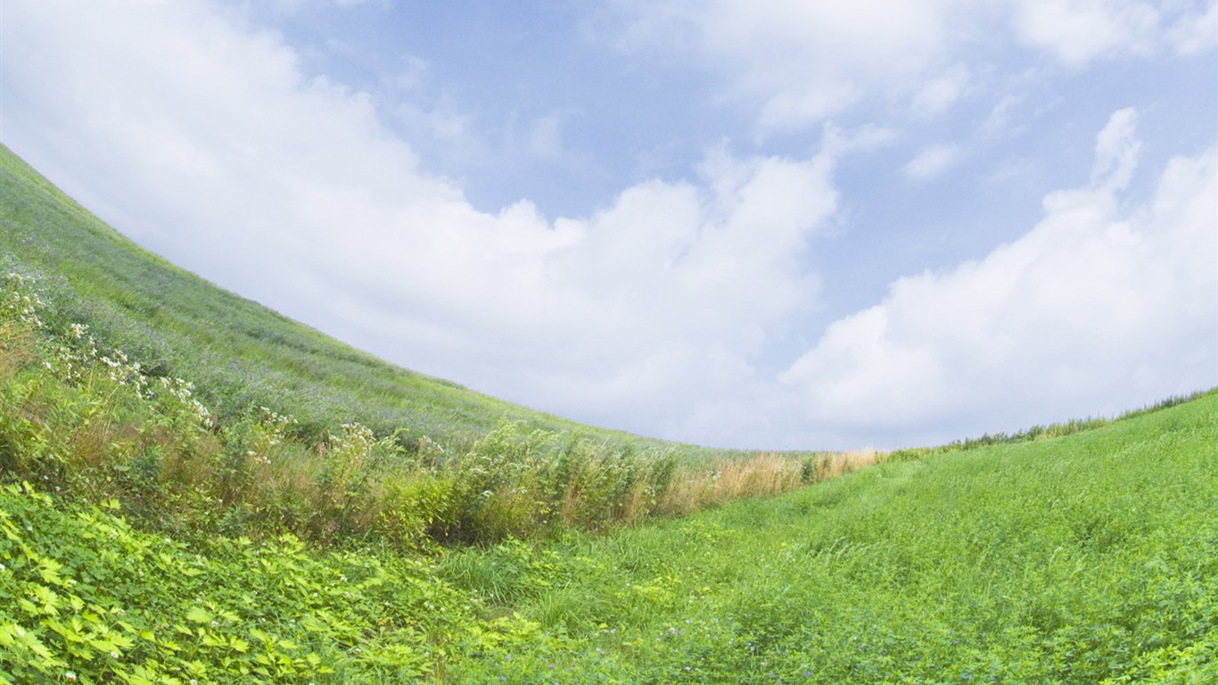 绿色草地(四)1 - 1366x768