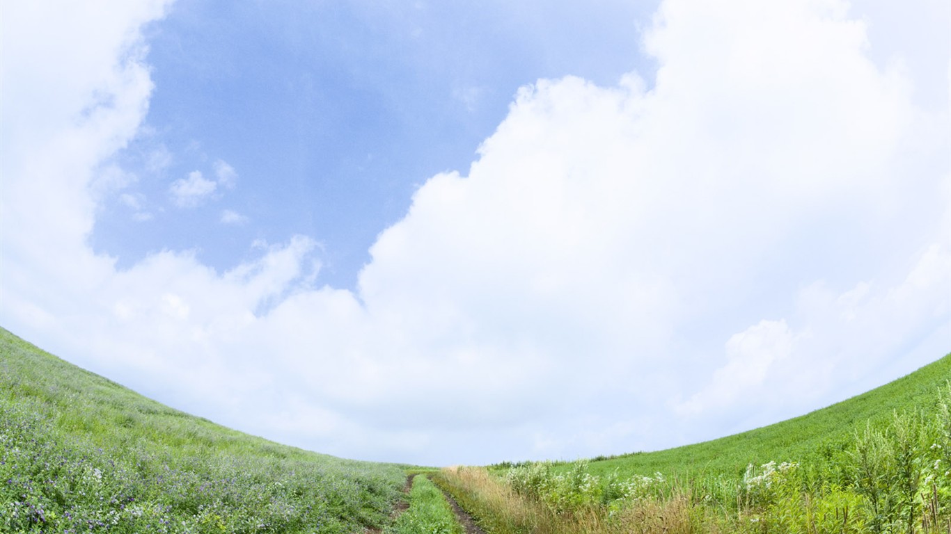 綠色草地(四) #2 - 1366x768