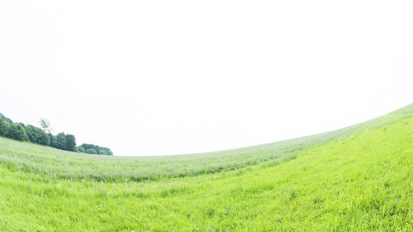 綠色草地(四) #6 - 1366x768