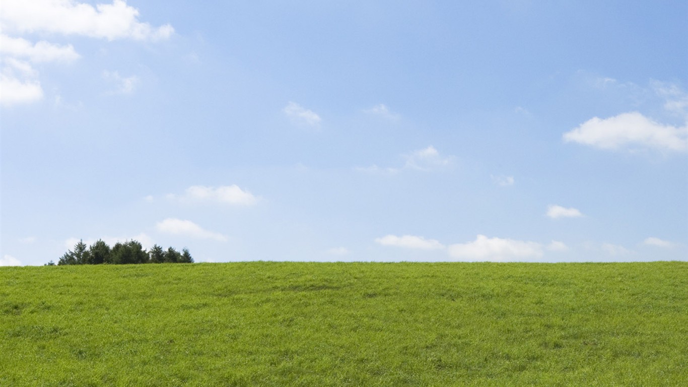 Green Grass wallpaper (4) #11 - 1366x768