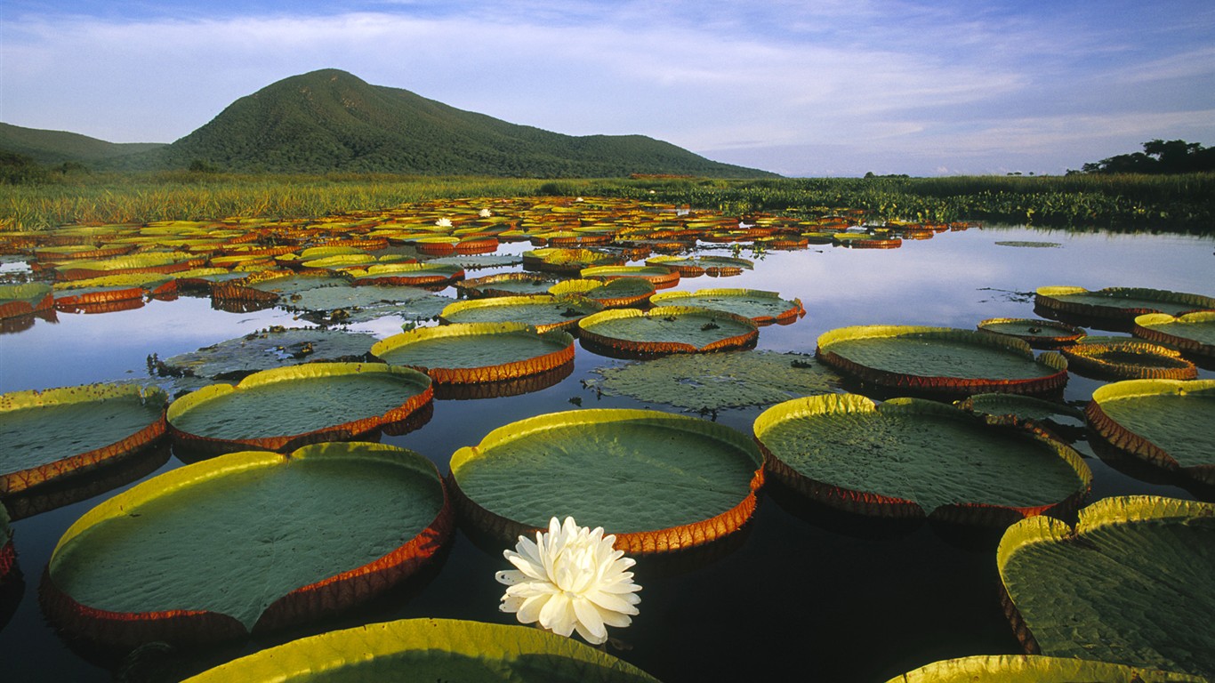 Brazil巴西2 - 1366x768