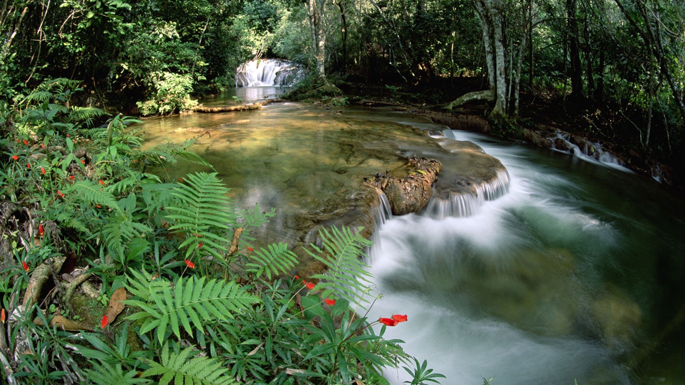 Brazil巴西6 - 1366x768