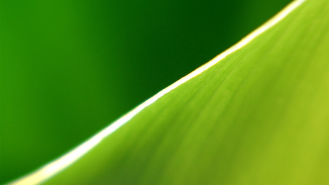 Vista 植物壁紙(二) #13 - 1366x768