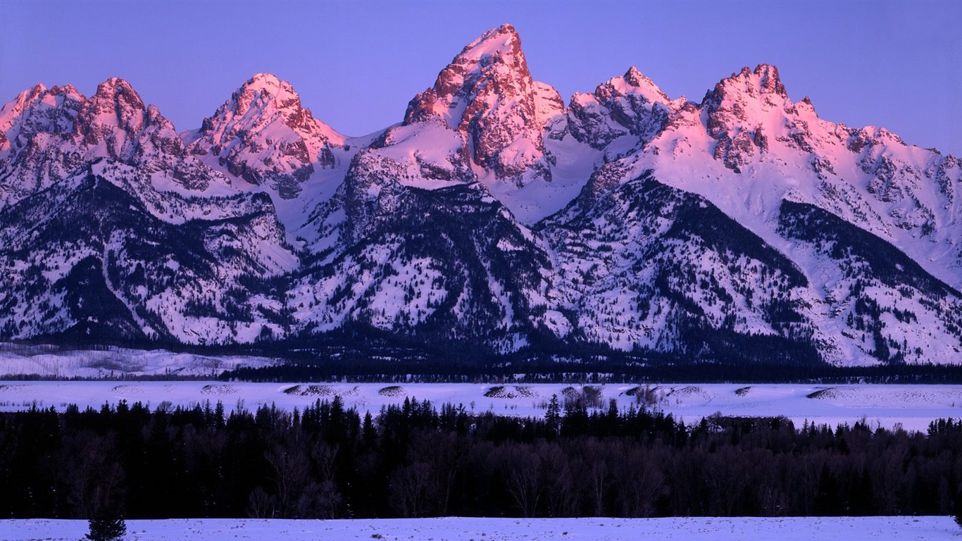 白雪森林(三) #5 - 1366x768