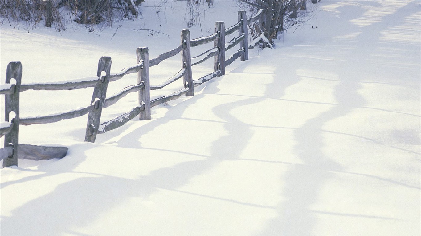 白雪森林(三) #11 - 1366x768