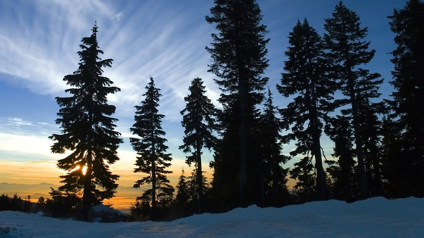 白雪森林(三) #15 - 1366x768