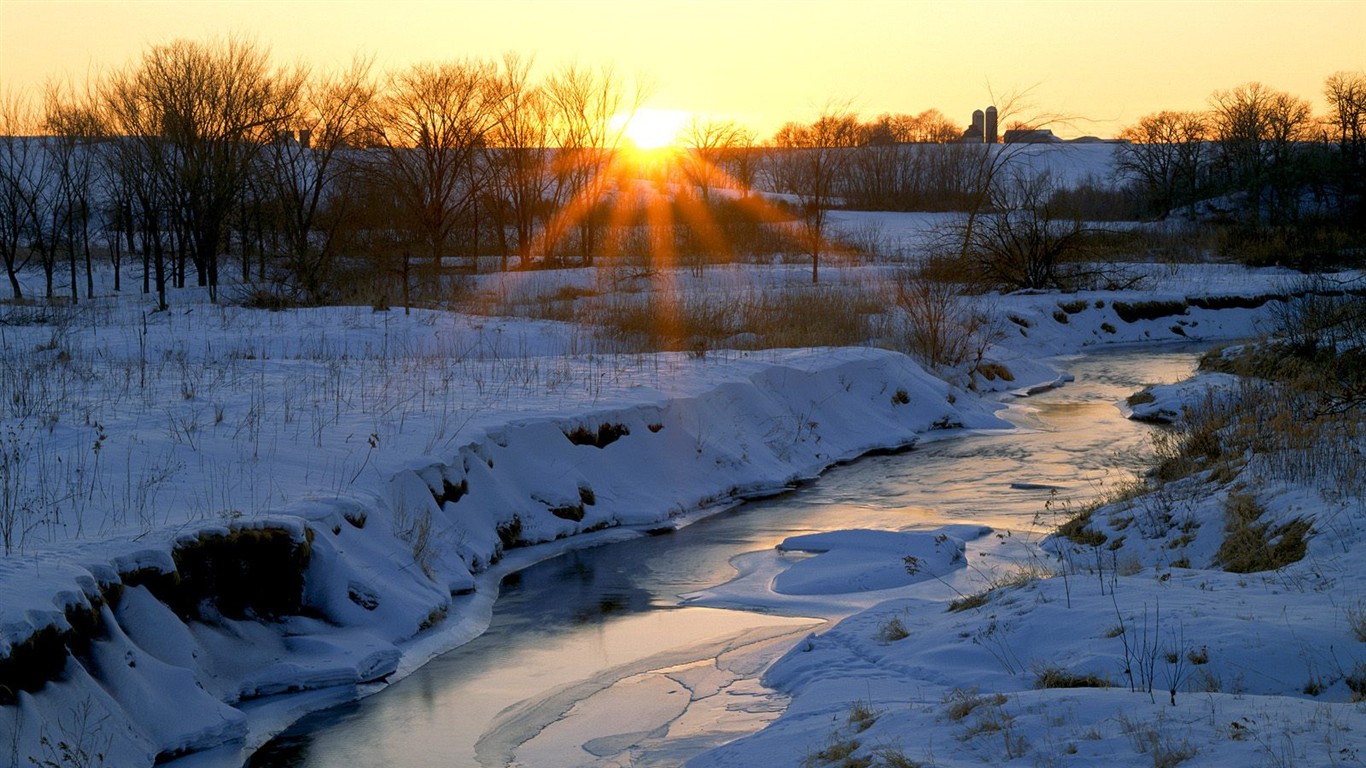 Snow forest wallpaper (3) #16 - 1366x768