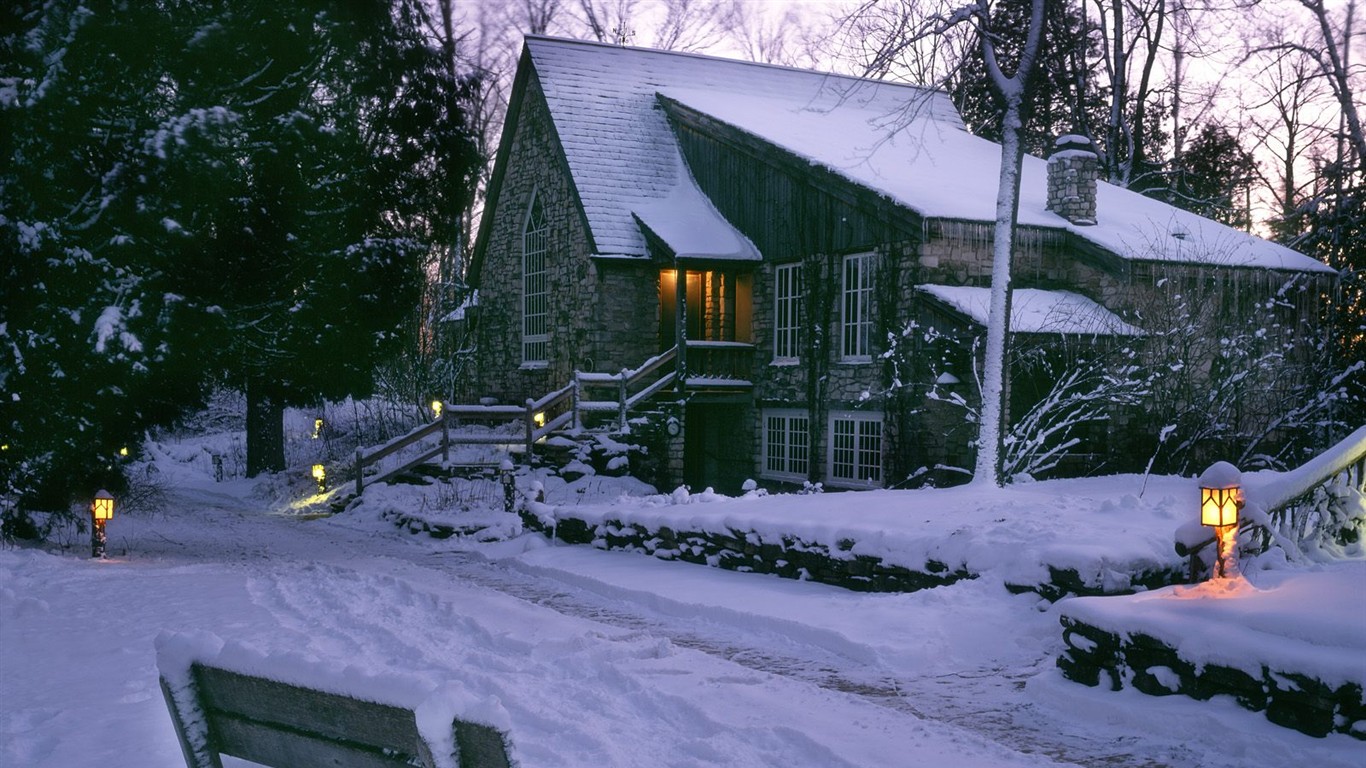 白雪森林(三) #19 - 1366x768