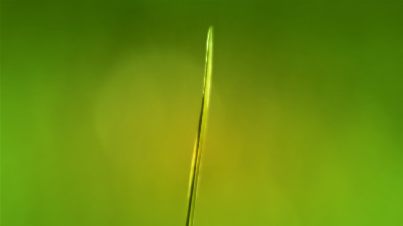Vista 植物壁紙(三) #15 - 1366x768