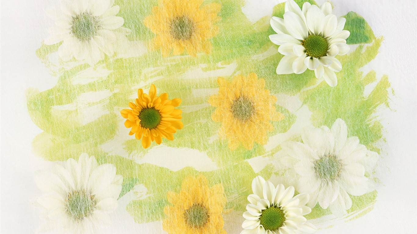 Flower Hintergrundbilder Selection (1) #39 - 1366x768