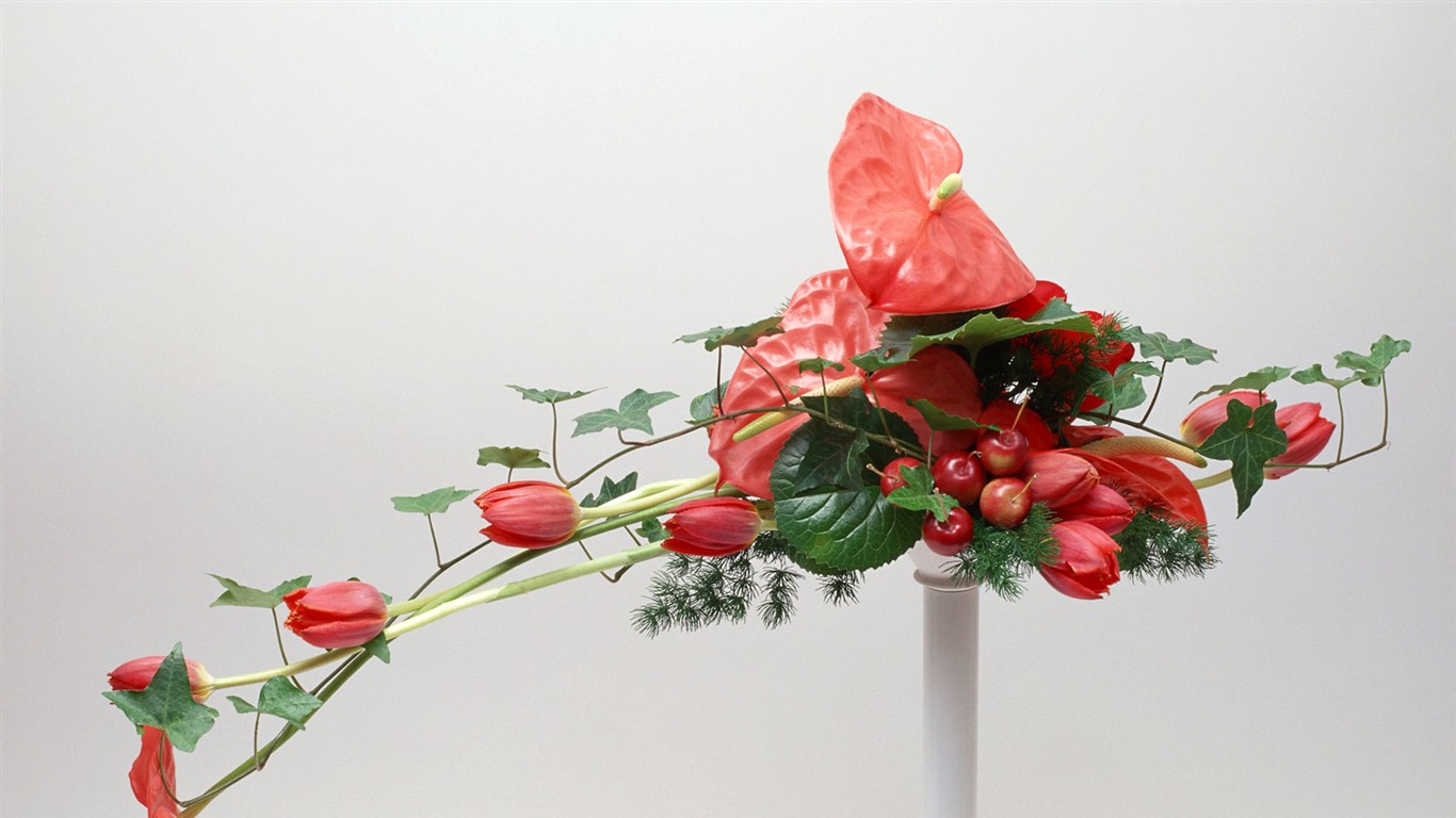桌面鮮花壁紙精選(二) #25 - 1366x768