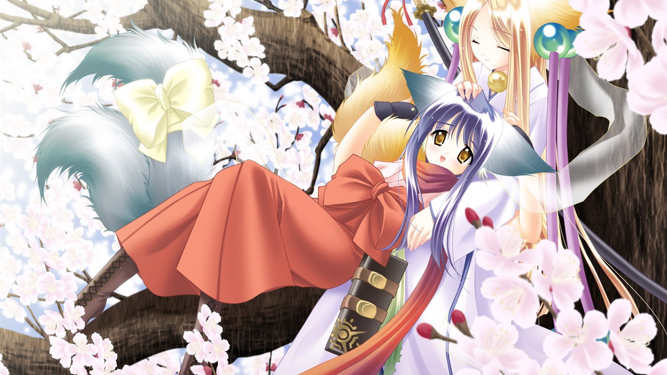 Sakura dance lovely MM (1) #15 - 1366x768