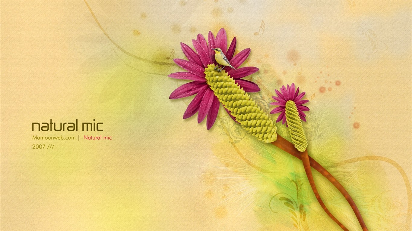 Exquisite design Vladstudio Wallpaper #4 - 1366x768