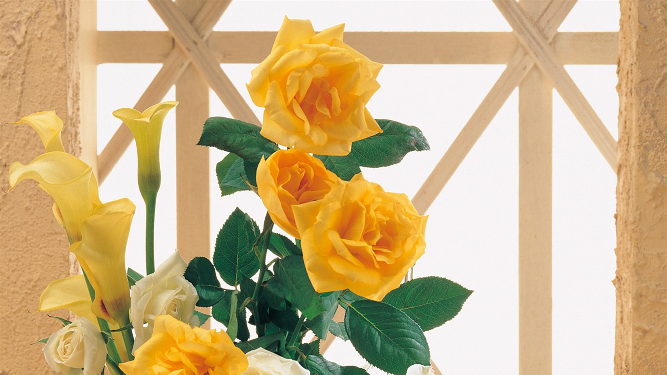 室內鮮花特輯(一) #20 - 1366x768