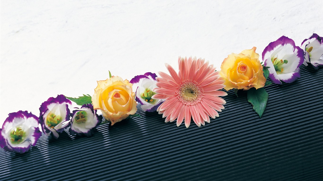室內鮮花特輯(一) #27 - 1366x768