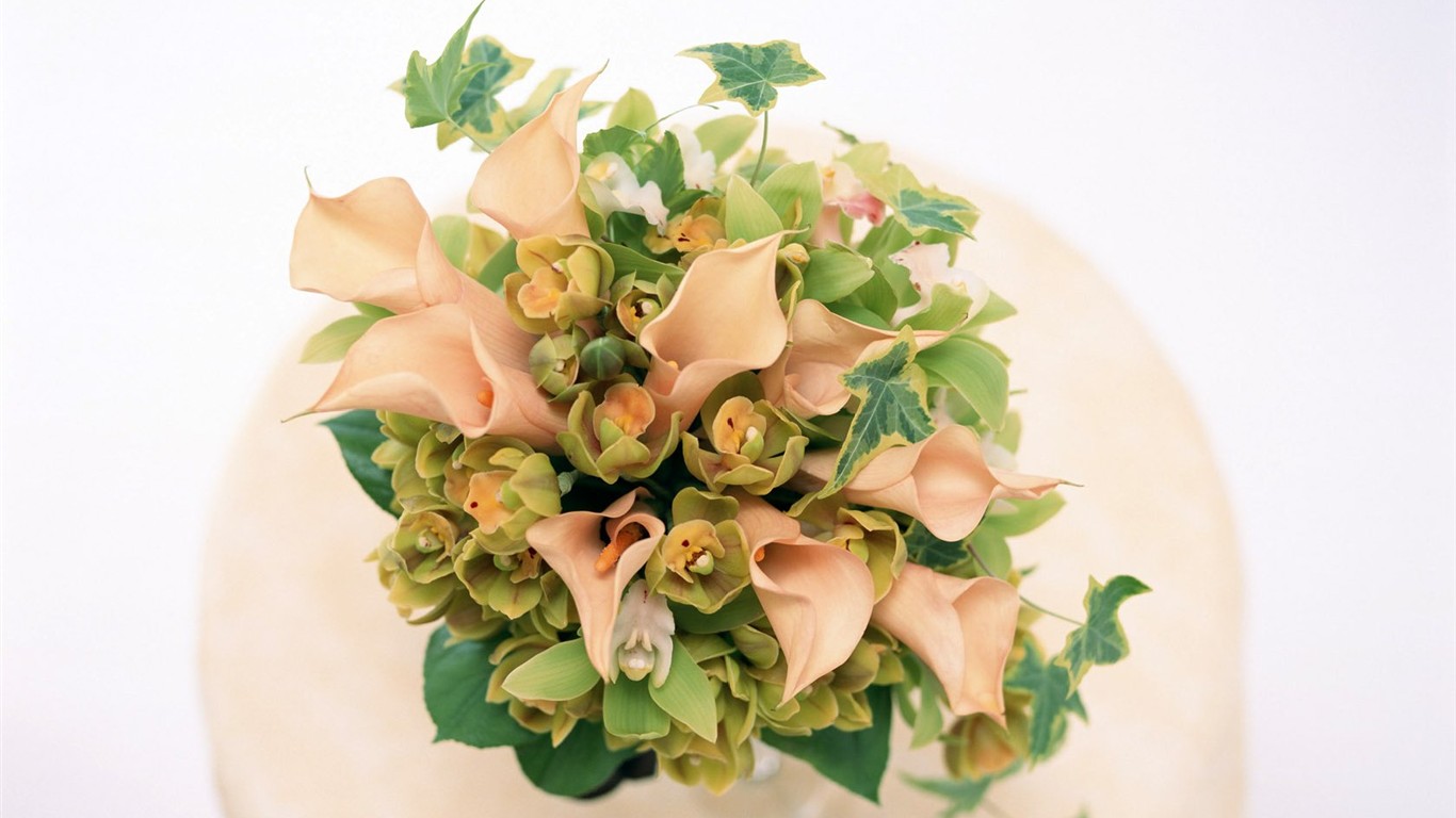 室內鮮花特輯(二) #20 - 1366x768