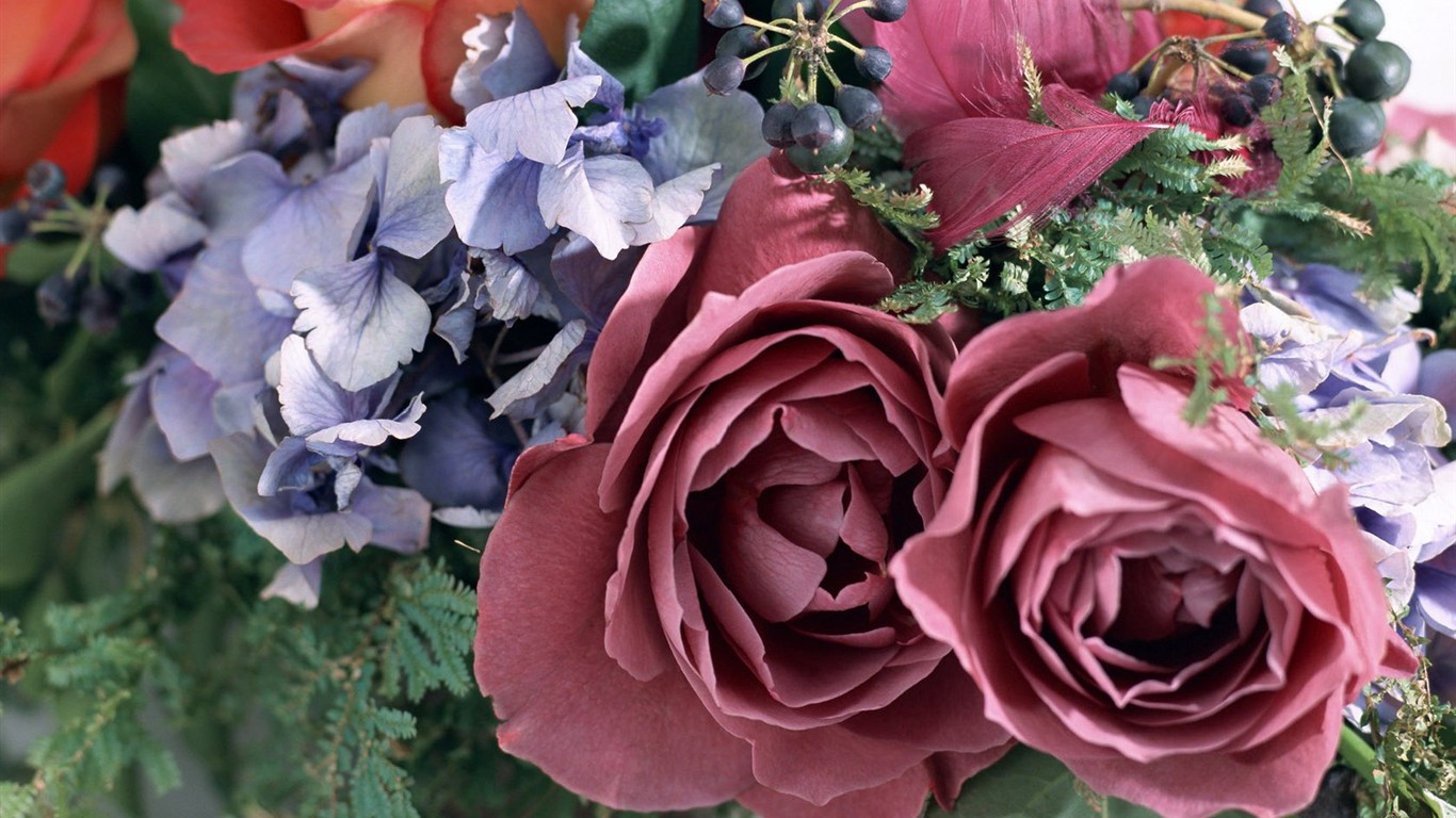 室內鮮花特輯(二) #23 - 1366x768