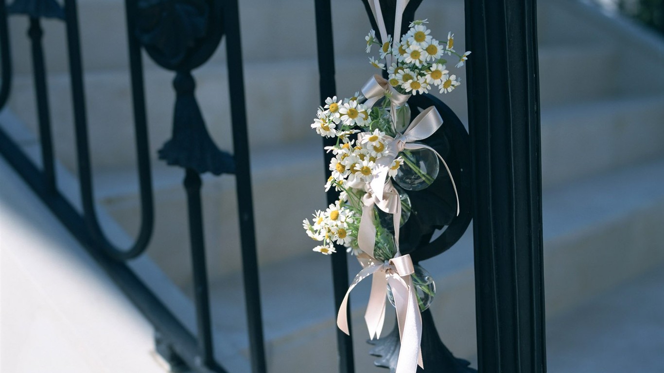 Indoor flower wallpaper (2) #32 - 1366x768