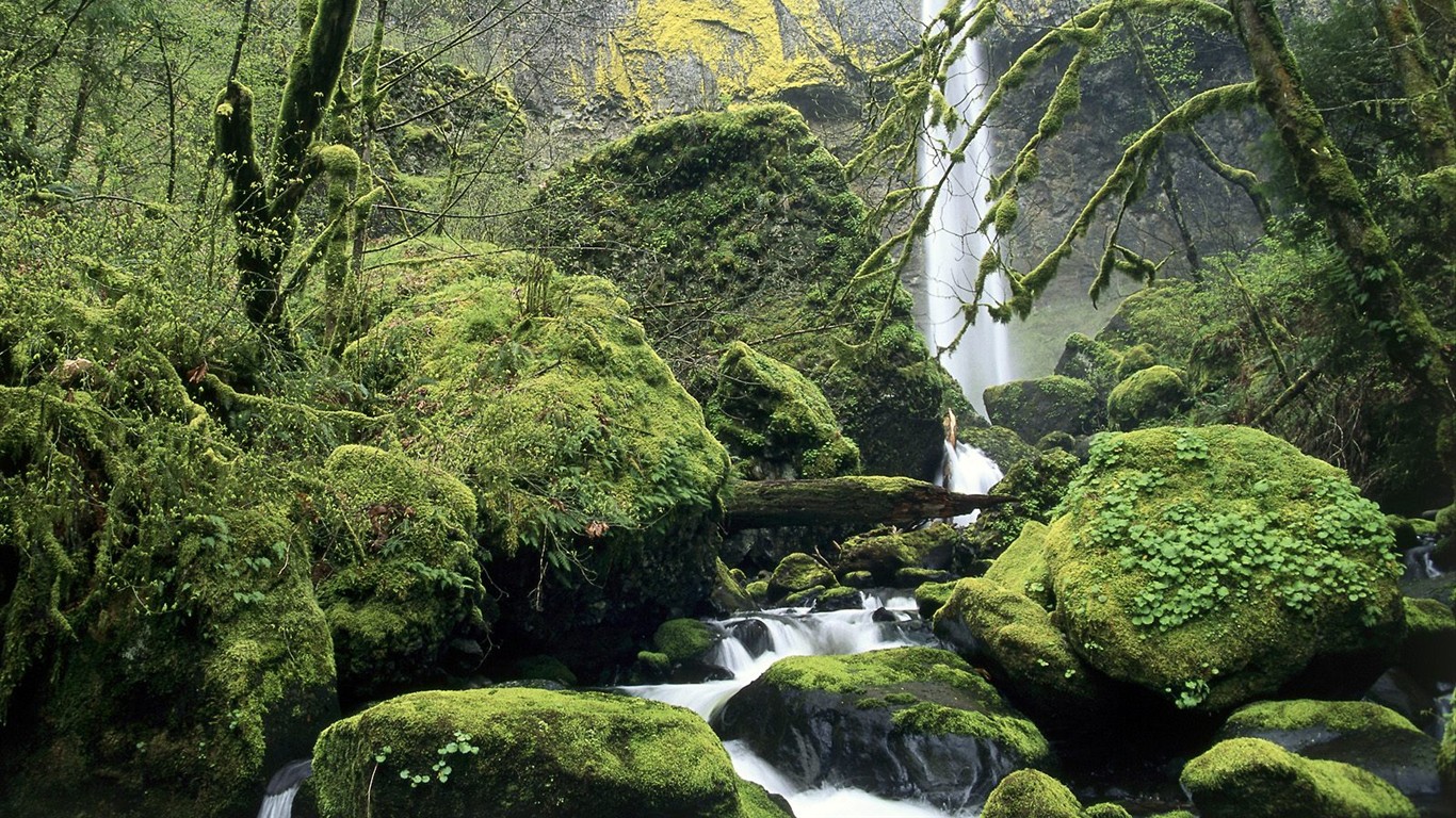 Webshots natural scenery Wallpaper #11 - 1366x768