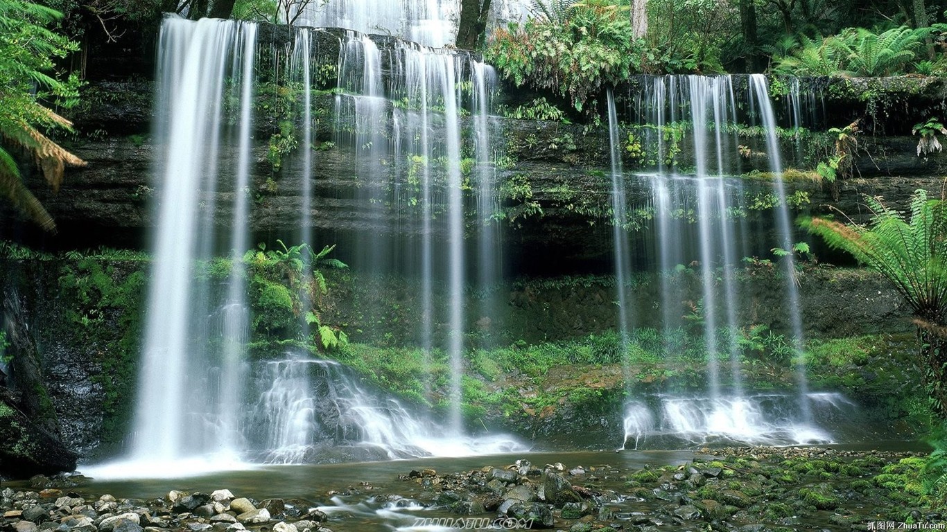 Falls Forest HD Wallpaper #1 - 1366x768