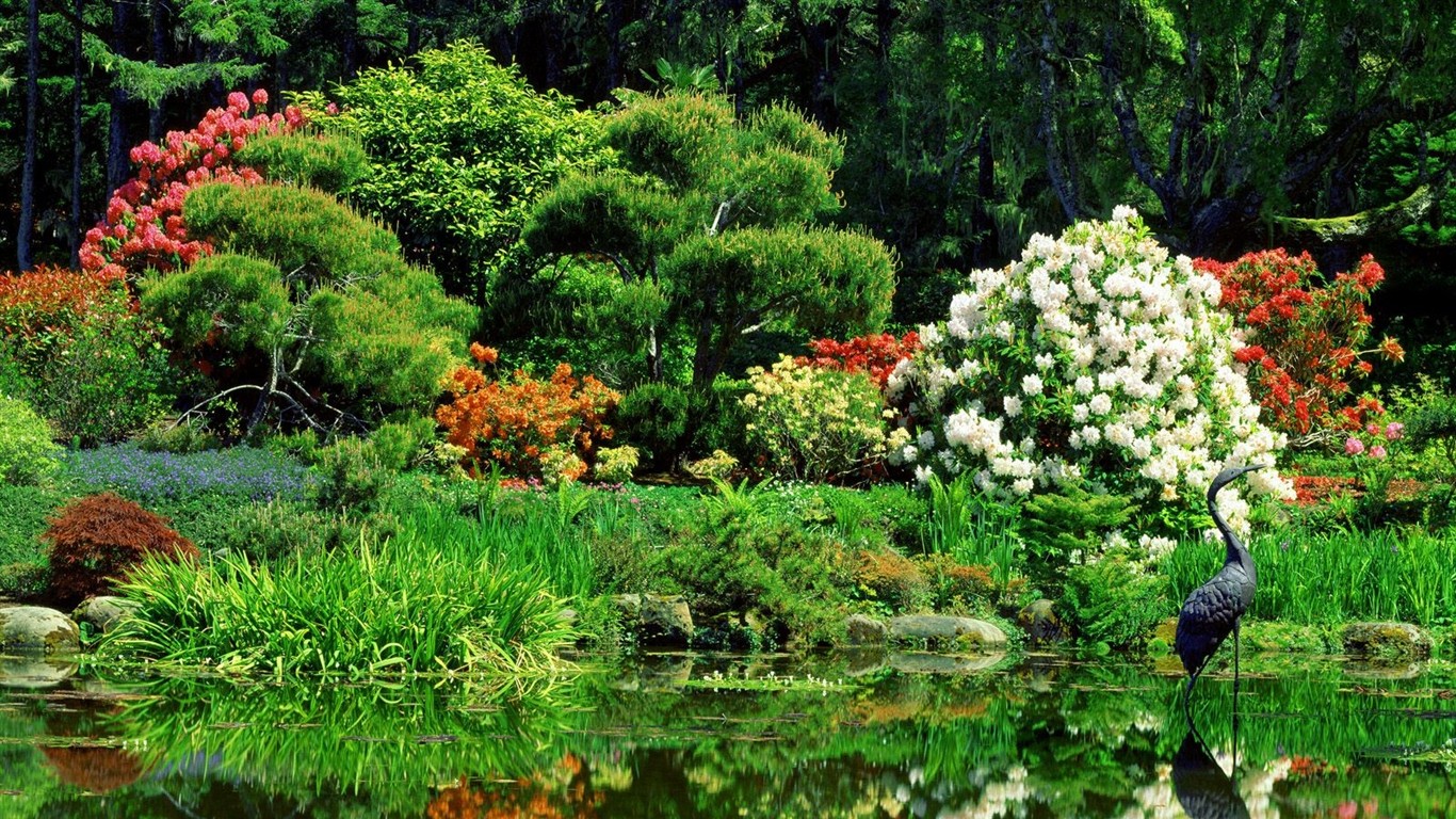Falls Lesní HD Wallpaper #2 - 1366x768