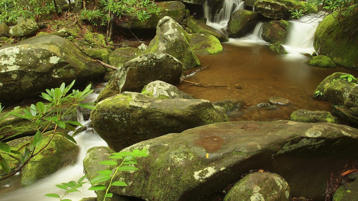 Falls Lesní HD Wallpaper #16 - 1366x768