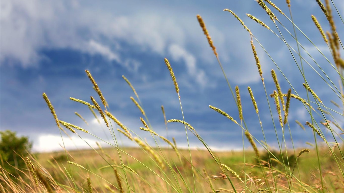 Krásná krajina na plochu #37 - 1366x768
