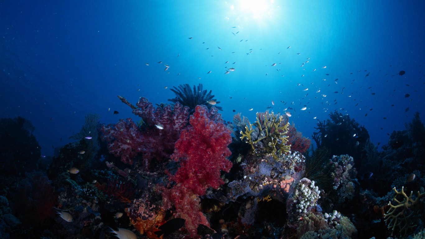 Fun Underwater World (1) #5 - 1366x768