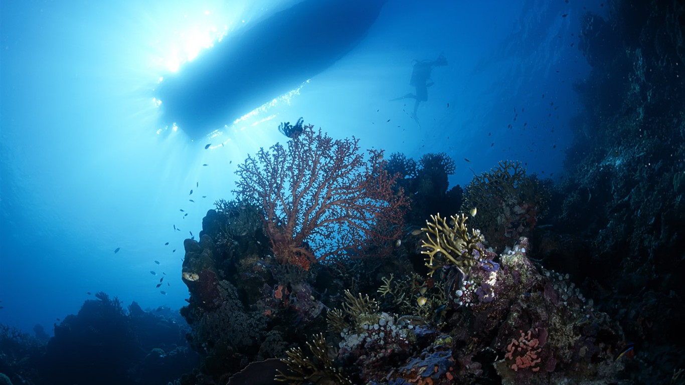 Fun Underwater World (1) #15 - 1366x768