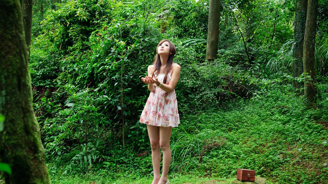 Taiwan fruit wallpaper album MM #17 - 1366x768