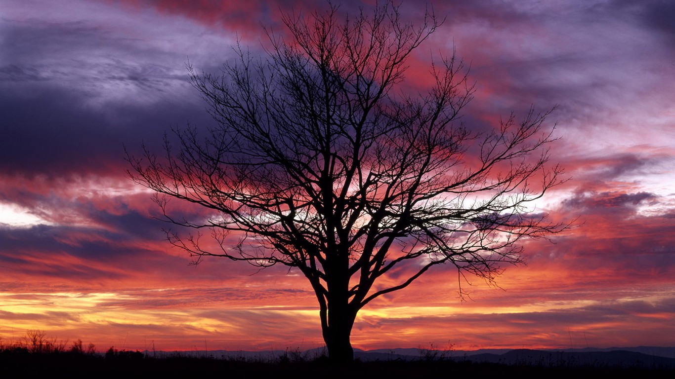 beau lever de soleil coucher de soleil et de papier peint #39 - 1366x768