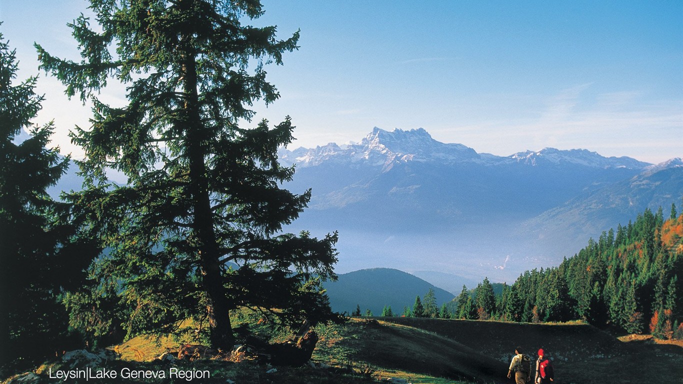 Suiza fondos de escritorio de lugares de interés turístico de verano #1 - 1366x768